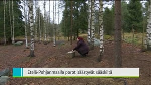 Yle Uutiset Pohjanmaa: Yle Uutiset Pohjanmaa 04-11-2016 Klo 18-22: 04.11.2016 17.47