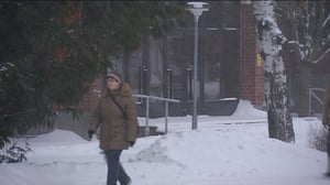 Yle Uutiset Uusimaa: Yle Uutiset Uusimaa 09-11-2016 klo 17-06: 09.11.2016 17.13