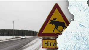 Yle Uutiset Uutis-Suomi: Yle Uutiset Uutis-Suomi 16-11-2016: 16.11.2016 19.52