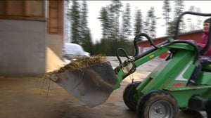 Yle Uutiset Häme: Yle Uutiset Häme 18-11-2016 klo 17-06: 18.11.2016 16.29