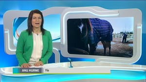 Yle Uutiset Häme: Yle Uutiset Häme 18-11-2016 Klo 18-22: 18.11.2016 17.30