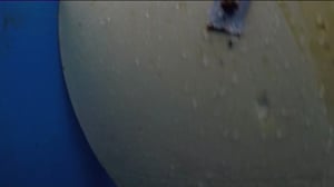 Yle Uutiset Keski-Suomi: Yle Uutiset Keski-Suomi 25-11-2016 Klo 17-06: 25.11.2016 16.24