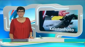 Yle Uutiset Lappi: Yle Uutiset Lappi 25-11-2016 Klo 18-22: 25.11.2016 17.49