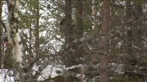 Yle Uutiset Itä-Suomi: Yle Uutiset Itä-Suomi 05-12-2016 Klo 17-06: 05.12.2016 16.38