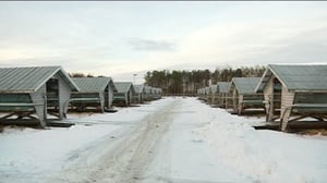 Yle Uutiset Pohjanmaa: Yle Uutiset Pohjanmaa 09-12-2016 Klo 17-06: 09.12.2016 19.09