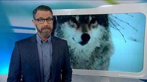 Yle Uutiset Uutis-Suomi: Yle Uutiset Uutis-Suomi 09-12-2016: 09.12.2016 19.29