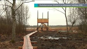 Yle Uutiset Häme: Yle Uutiset Häme 13-12-2016 klo 17-06: 13.12.2016 16.26