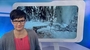 Yle Uutiset Uutis-Suomi: Yle Uutiset Uutis-Suomi 15-12-2016: 15.12.2016 20.11