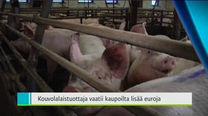 Yle Uutiset Kaakkois-Suomi: Yle Uutiset Kaakkois-Suomi 20-12-2016 Klo 18-22: 20.12.2016 17.39