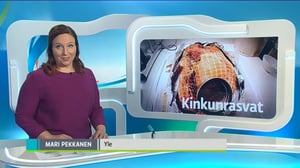 Yle Uutiset Pirkanmaa: Yle Uutiset Pirkanmaa 20-12-2016 Klo 18-22: 20.12.2016 17.49