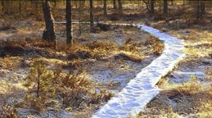 Yle Uutiset Häme: Yle Uutiset Häme 27-12-2016 klo 17-06: 27.12.2016 16.28