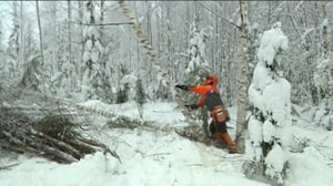 Yle Uutiset Itä-Suomi: Yle Uutiset Itä-Suomi 27-12-2016 Klo 17-06: 27.12.2016 16.32