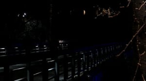 Yle Uutiset Keski-Suomi: Yle Uutiset Keski-Suomi 03-01-2017 Klo 17-06: 03.01.2017 16.51