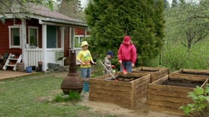 Puutarhan tonttu: 16.06.2016 07.03