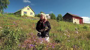 Tiettömän taipaleen takana: 22.07.2016 12.45