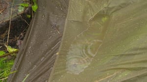 Korpijengi: Märkää: 27.07.2016 11.00