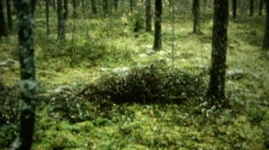 Rikostarinoita historiasta: 27.05.2016 09.00