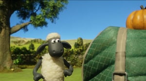 Late Lammas: Lampolan kesäkisat (S): 30.07.2016 09.22