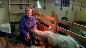 Norjan maatalouden tulevaisuus: 05.08.2016 19.00