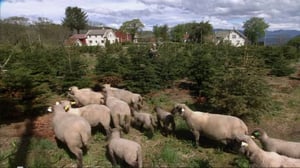 Tiettömän taipaleen takana: 14.07.2016 12.55