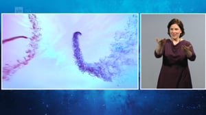 A-studio viittomakielellä: 16.11.2016 15.50