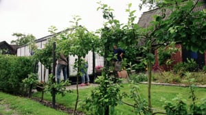 Puutarhatiistai - syksy: 29.08.2016 16.55