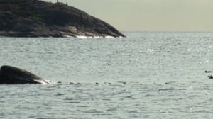 Kosteikoilta ulkoluodoille: 03.08.2016 20.24