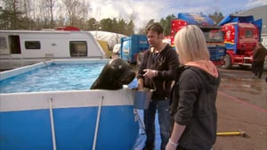 Sirkuskaravaani: 11.05.2016 08.34