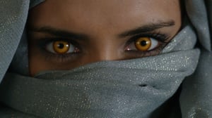 Sudenverinen (7): 06.07.2016 11.00