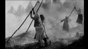 ID Finland: 25.11.2016 17.59