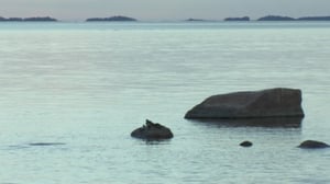 Kosteikoilta ulkoluodoille: 01.08.2016 20.23