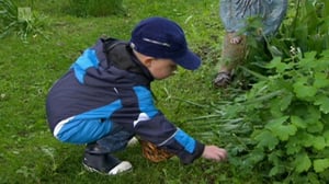 Puutarhan tonttu: 23.06.2016 07.03