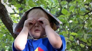 Puutarhan tonttu: 04.08.2016 07.03