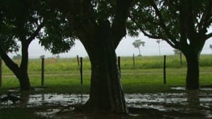 Ihmisen vaikutus planeettaamme: 27.09.2016 19.55