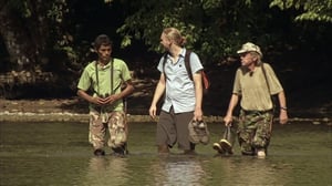 Luontomatkalla Costa Ricassa: 30.05.2016 13.30