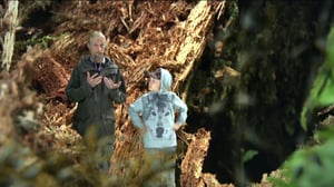 Ötökkämiehet: 03.08.2016 08.40