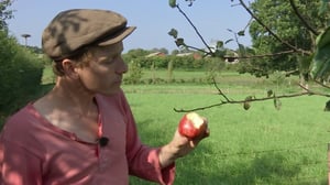 Tanskalainen maajussi: 16.11.2016 19.00