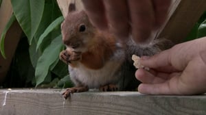 Lintumiehet: 05.08.2016 07.00