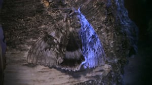 Ötökkämiehet: 24.08.2016 08.37