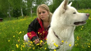 Luontoretkellä: Paranemisen tie: 27.05.2016 13.03