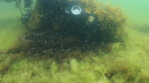 Itämeri pintaa syvemmältä: 20.07.2016 20.23