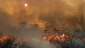 Avara luonto: Kesytön Brasilia: 28.05.2016 18.45