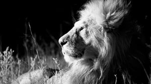 Avara luonto: Maapallon vuorokausi: 26.08.2016 15.55