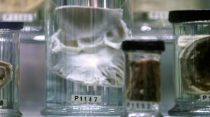 Anatomia taiteessa: 27.09.2016 18.00