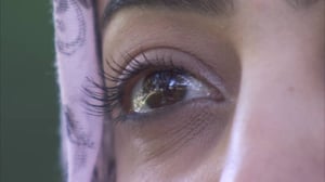 Dok: Kirjeitä pääministeri Sipilälle: 24.10.2016 19.55