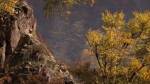 Ihmisen vaikutus planeettaamme: 11.09.2016 17.55