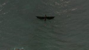 Lohikäärmeratsastajat (7): 21.05.2016 09.36