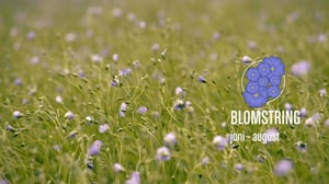 Laatua lyhyesti: 21.07.2016 21.57