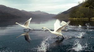 Prisma: Taivaan valloitus: 08.06.2016 19.00