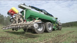 Yle Uutisluokka Triplet: Festarikansan virtsa lannoittaa ohrapeltoja Hämeessä (S): 24.05.2016 12.35